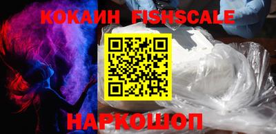кокс Гатчина