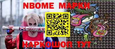 кокс Гатчина