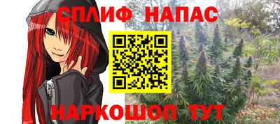 кокс Гатчина