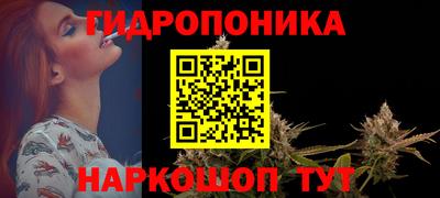 кокс Гатчина