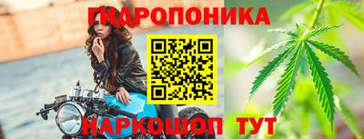 кокс Гатчина
