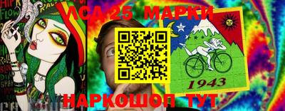 кокс Гатчина